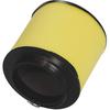 HIFROM Air Filter Cleaner Replacement for Honda Rincon 680 TRX680FA TRX680FGA Rubicon 500 TRX500FA TRX500FGA TRX500FPA Pioneer 700 SXS700M2 SXS700M4