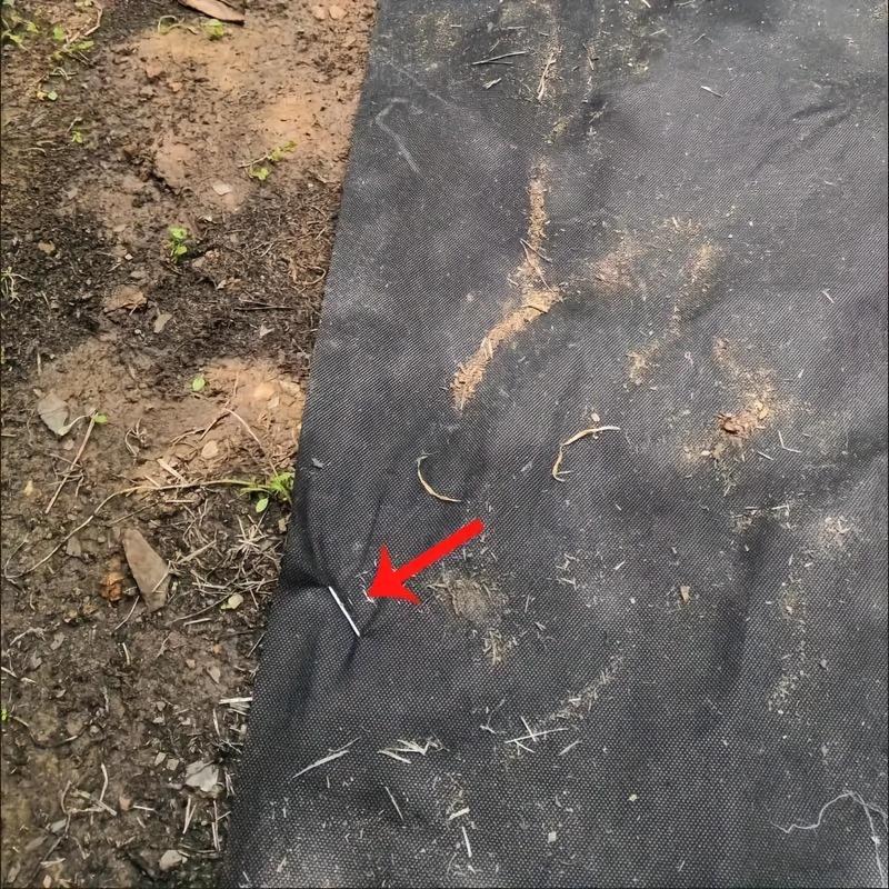 1/5/10/20PCS Rust-Resistant U-Shaped Galvanized Steel Garden Landscape Pins for Plant Support and Fabric Securing