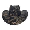 Retro Snakeskin Pattern Western Cowboy Hat Men'S Outdoor Travel Spring And Autumn Hat Women'S British Style Jazz Top Hat