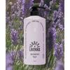 Odded Milk Protein Intensive Shampoo Verbena Lavender Fragrance, 1L, 1 Ea.
