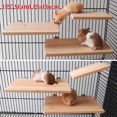 1 Stück Papagei Haustier Holzständer Plattform Vogelspielzeug Papageienständer Hamster Zubehör