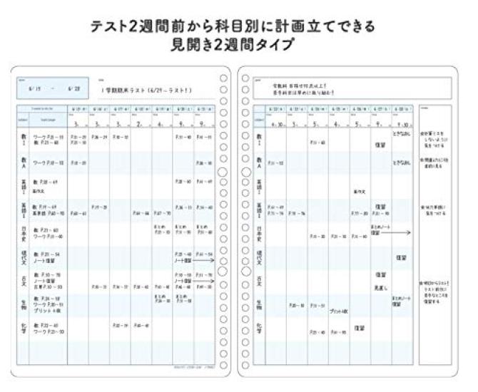 KOKUYO Campus Study Planner Paper B5 of Loose-Leaf [2-Week Ruled] No-Y836LT (Set 5)