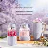 Buydeem Wisteria 750ml Insulated Tumbler with Straw