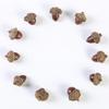 10pcs Natural Pinecone Branch for 2026 New Years Decoration Cone Pine Berries for Home Decor Party DIY Gifts Accessory