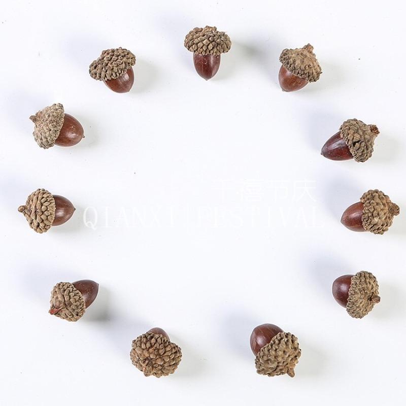 10pcs Natural Pinecone Branch for 2026 New Years Decoration Cone Pine Berries for Home Decor Party DIY Gifts Accessory