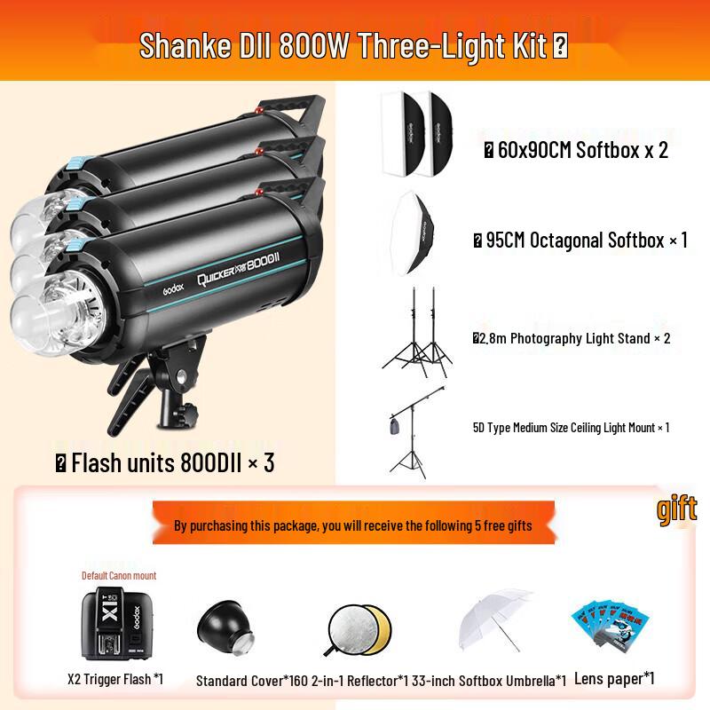 Godox 800DII Studio Flash Kit