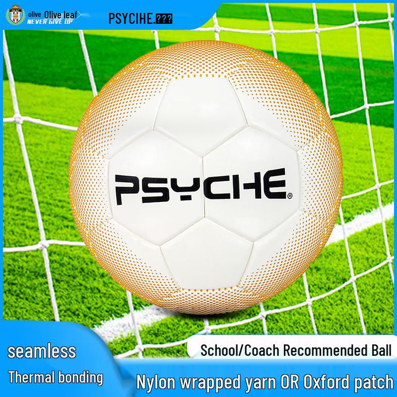 PSYCHE Pro Size 5 PU Football