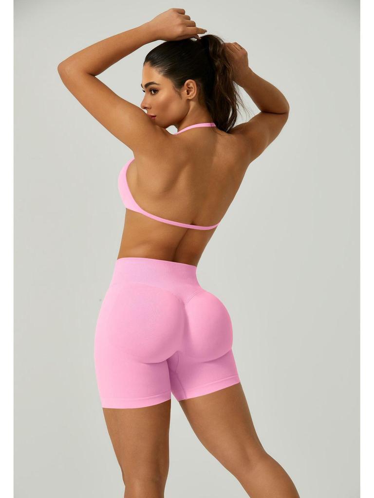 European Halter Neck Seamless Yoga Bra: Sexy, High Elasticity, Matte Finish, Beautiful Back Design