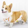 Pet It Pet Belly Pocket Dog Home Clothes Comfortable Anti-hair Loss Anti-dirty Dog Clothes Autumn and Winter Protection Stomach