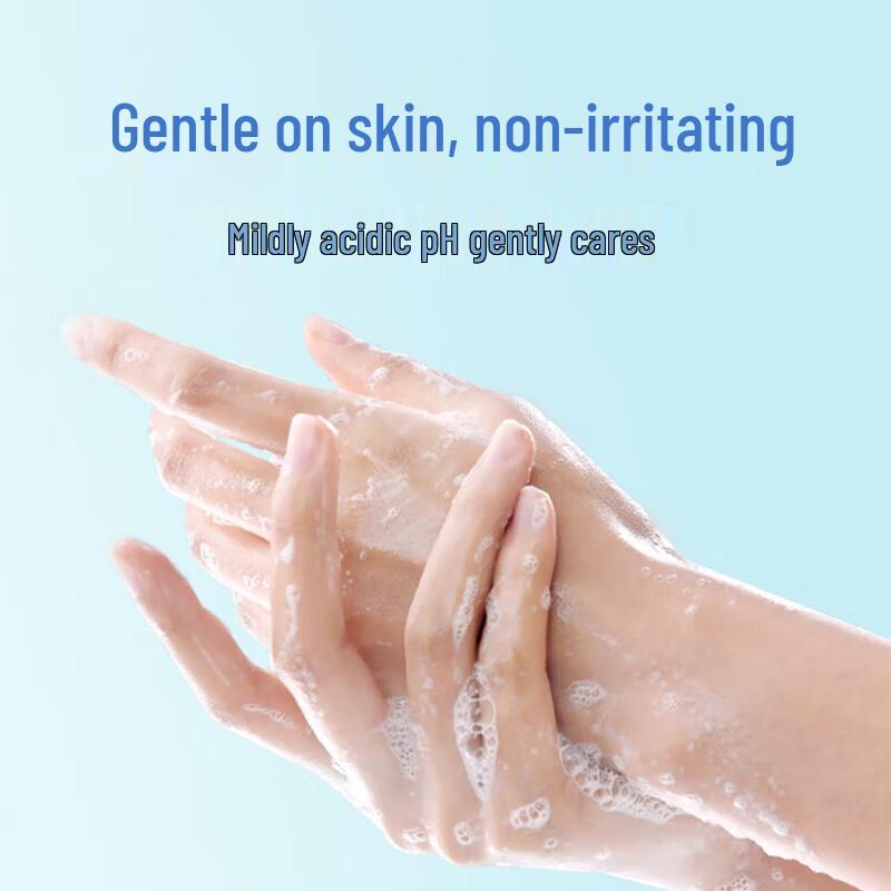 Xidebao Moisturizing Foaming Hand Wash