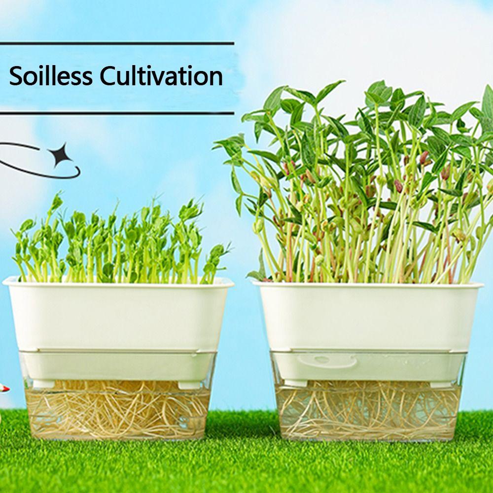 

Soilless Cultivation Sprouts Growing Tray Horticultural Tool Hydroponic System Sprouting Tray білий