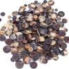 Safe Resin Button For DIY Children Clothing And Craft Projects With Easy Installation