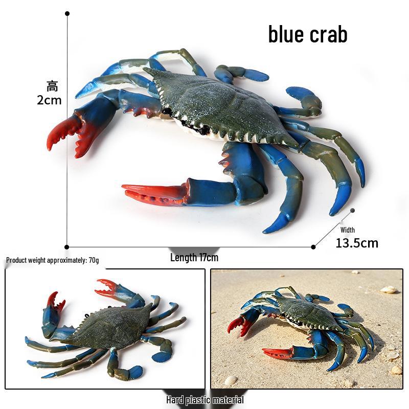 Ocean Crab Simulation Toy Set: Includes Hermit, Swimming, and Three-Spot Plastic Models