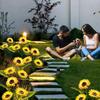 LED Solar Sunflower Lights Waterproof Lamp Ground Outdoor Lawn Light For Courtyard Garden Stake Yard Holiday Decoration