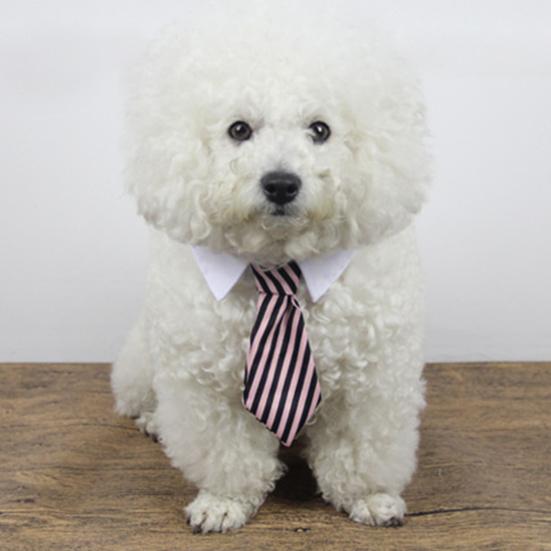 Guler de ajustare cu dungi, cravată papion pentru câine, cățeluș, petrecere, nuntă, îngrijire