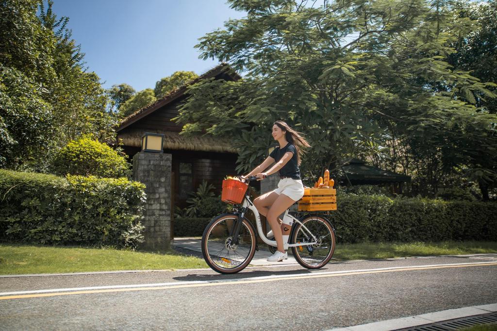 DYU C6 PRO Electric City Bike 36V 15.6Ah Battery, 250W Motor, Range 80 KM, Max Speed 25 km/h, 26*2.125 Inch Tires, E-Bike