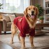 Thicken New Year Dog Hoodie Blessing Dog Fleece Coat Winter Puppy Clothes  Indoor Outdoor