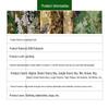 Durable Jungle Camouflage Fabric