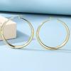 Exaggerated Accessories Fashion Alloy Circle Earrings Niche Geometric Gold Stud Earrings Women's Earrings