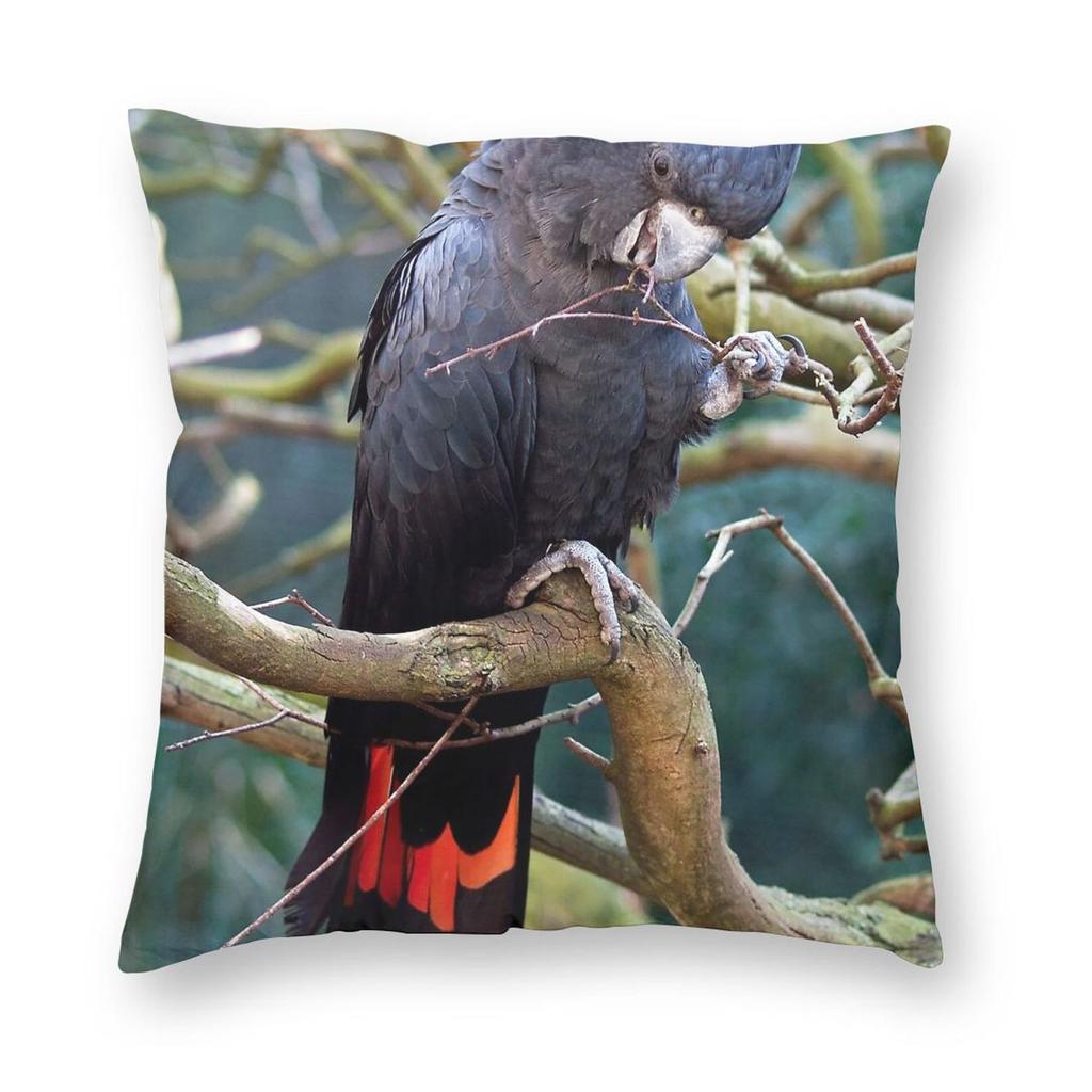 Redtailed Black Cockatoo Square Pillowcase Polyester Linen Velvet Pattern Zip Decor Home Cushion Cover