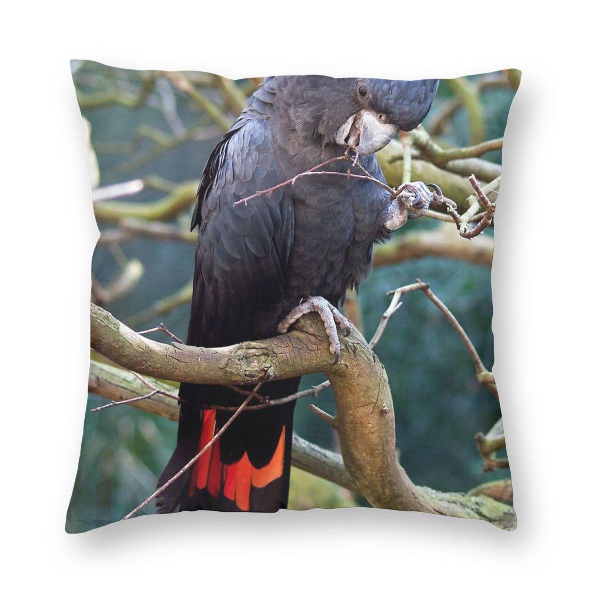 Redtailed Black Cockatoo Square Pillowcase Polyester Linen Velvet Pattern Zip Decor Home Cushion Cover 30x30cm