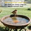 Coppers Cleaning Plate For Birdbaths Eliminates Frequent Maintenance Saves 120 Minutes Monthly