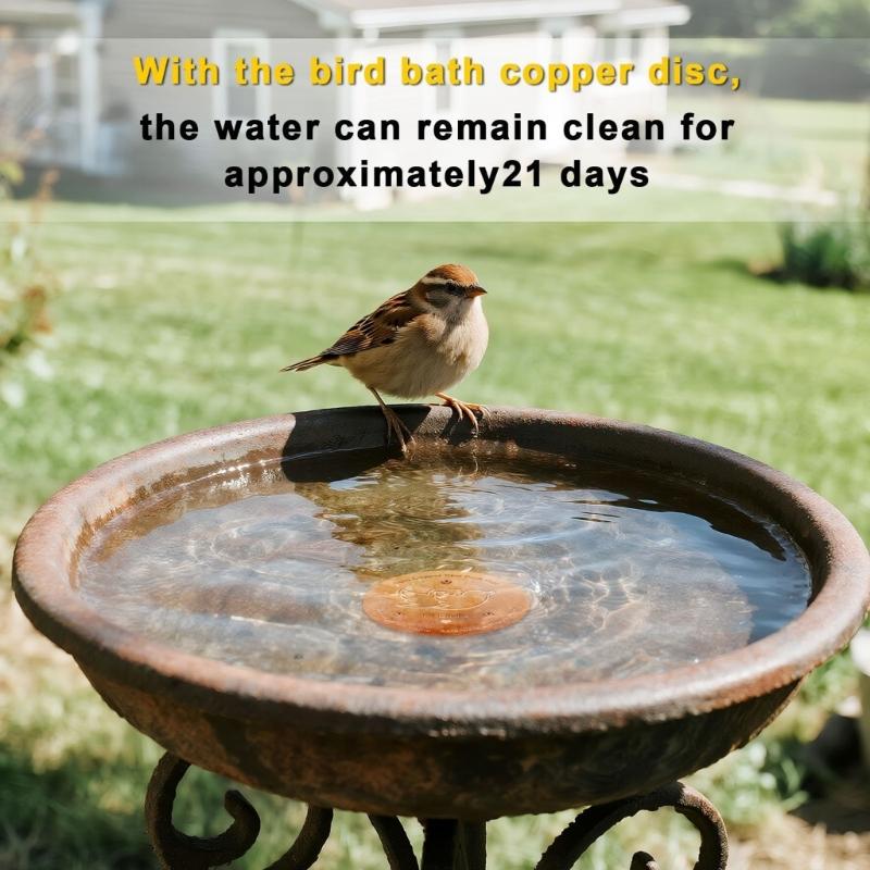 Coppers Cleaning Plate For Birdbaths Eliminates Frequent Maintenance Saves 120 Minutes Monthly