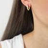 18K Gold-Plated Geometric Hexagon Earrings In Titanium Steel