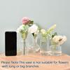 Arrangement Nordic Creative Transparent Plant Bottle Table Vase Flower Pot Glass Vases