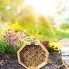 Bee Hotel for Garden and Yard Bamboo Bee Hive for Bees Butterflies Mason Bee Houses and Supplies for Outdoor Garden