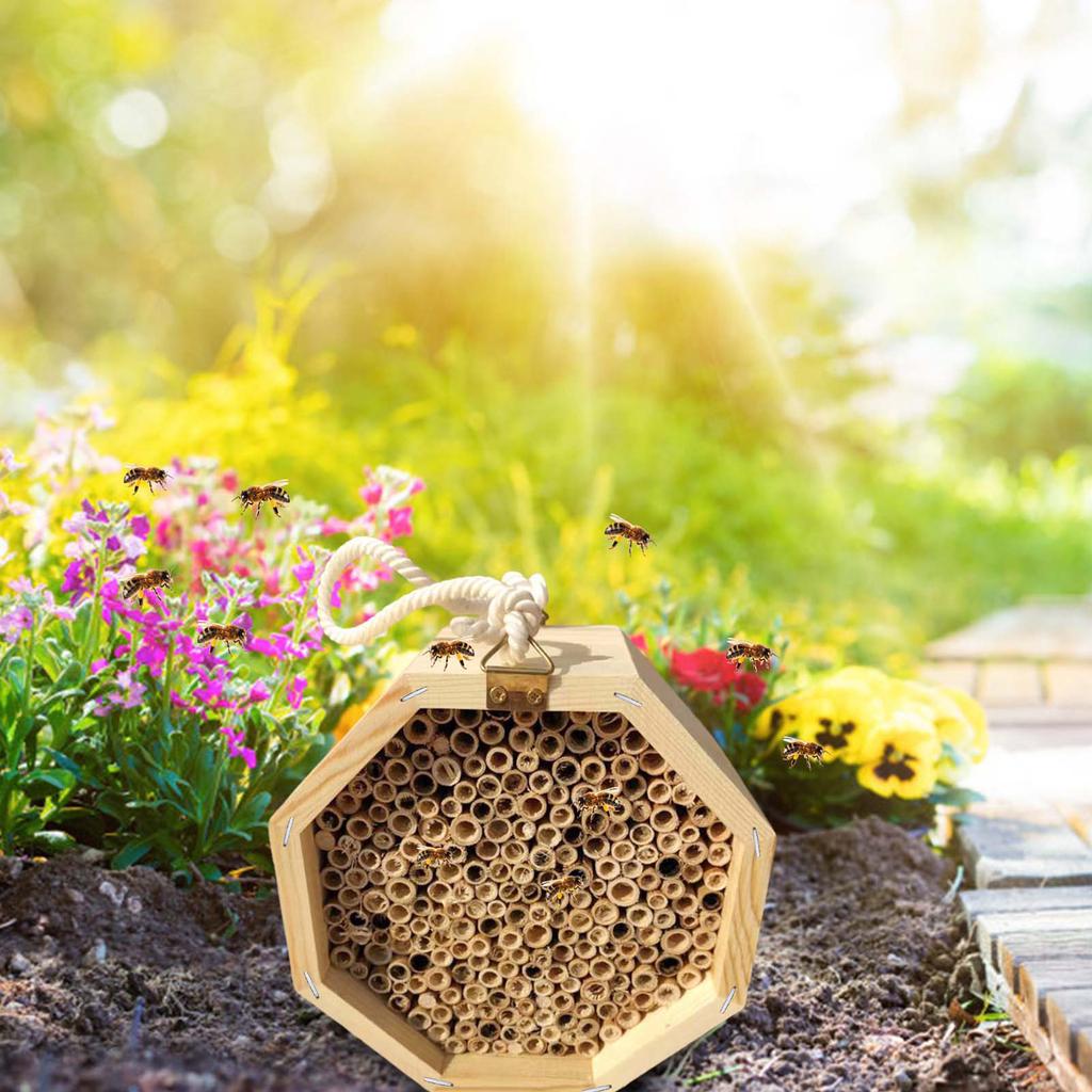 Bee Hotel for Garden and Yard Bamboo Bee Hive for Bees Butterflies Mason Bee Houses and Supplies for Outdoor Garden