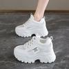 Daddy Shoes Women's 2025 Mesh Breathable Thin Inner Height Increase Small White Shoes Platform Sports Shoes High Heel Casual Versatile