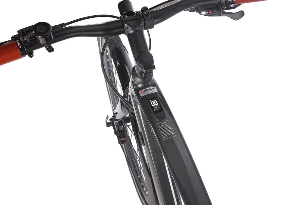 FAFREES F700M Electric Bicycle 36V 10Ah Battery, 250W Motor, 100KM Range, 700*42C City Tires, Hydraulic Disc Brakes E-Bike