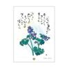 Hoshino Tomihiro 31 Poems Illustrations Daily Calendar Only Thing You Truly Need Is Just One
