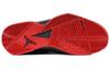 Jordan True Flight Black/Gym Red Metallic Silver 342964-001