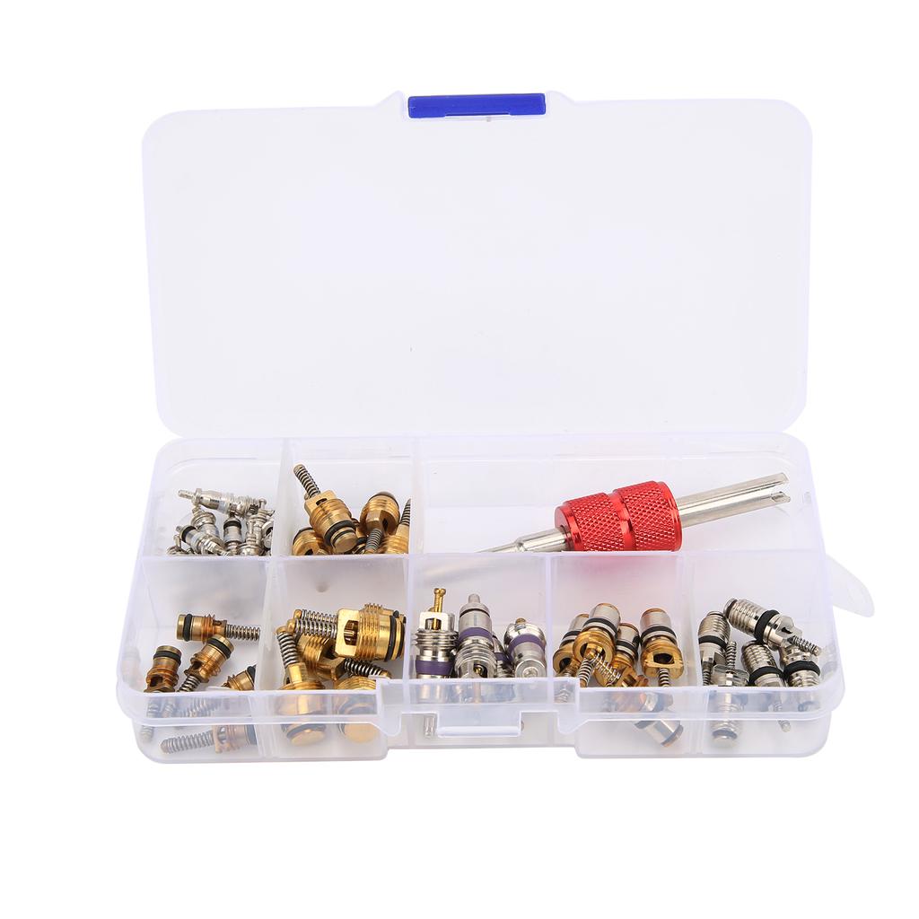 40PCS Car Air Conditioner Valve Core with Remover Tool 5101791AA   5189373AA Replacement for Chrysler