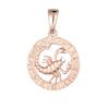 FJ 12 Zodiac Sign 585 Gold Color Constellation Rose Pendants Capricorn/Gemini Twisted + 50cm Chain Women Men Zircon