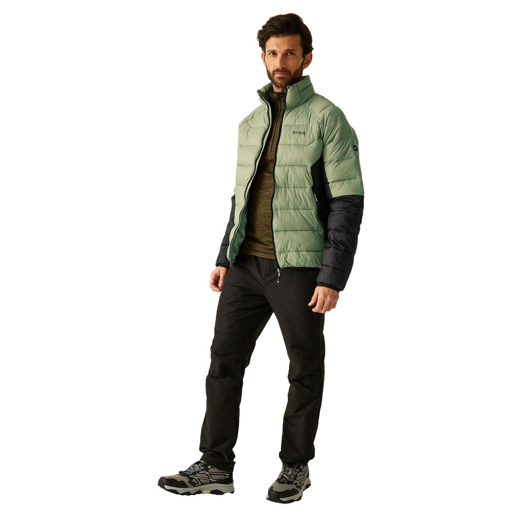 Regatta Mens Dalent Padded Jacket