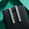 Niche Design High-end Zircon Stud Earrings Crystal Fringed Earrings High-end Temperament Exquisite Long Women's Earrings Earrings
