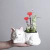 Kreskówkowe Zwierzątko Sukulent Mała Doniczka Ceramiczna Dom Biuro Balkon Roślina Zielona Narzędzie do Kwiatów Dekoracyjny Ornament Ogrodniczy