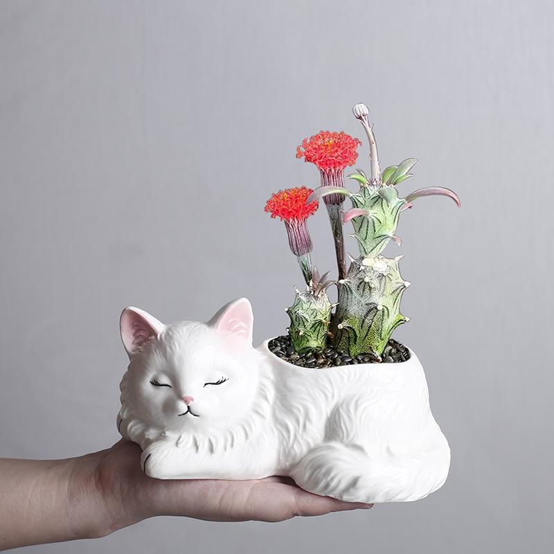 Kreskówkowe Zwierzątko Sukulent Mała Doniczka Ceramiczna Dom Biuro Balkon Roślina Zielona Narzędzie do Kwiatów Dekoracyjny Ornament Ogrodniczy