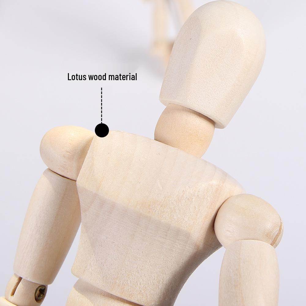 Movable Joint Wooden Dolls for Sketching and Painting - Male and Female Models