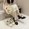 White Super Beautiful Fairy Style Mary Jane Small Leather Shoes Girl 2025 Autumn New Versatile Skirt Thick Heel Jk Single Shoes