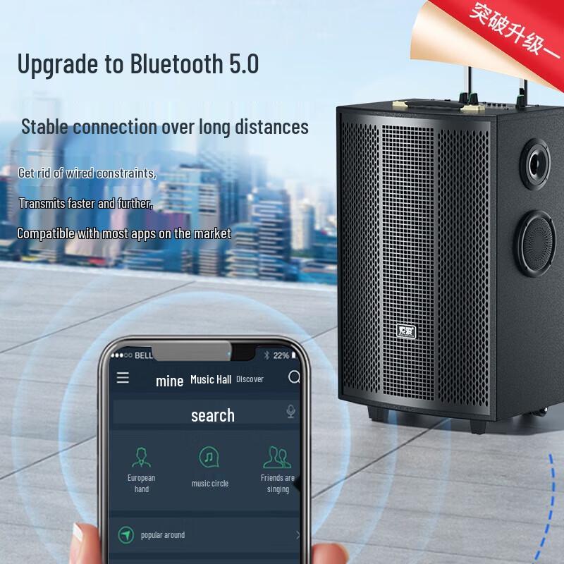 Suoai 12-inch Portable Bluetooth Karaoke Speaker with Dual Microphones