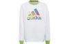 Kids Sweatshirts Crew Neck Moderate HB9877