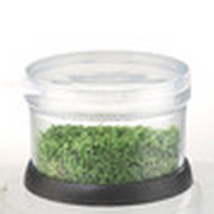 Gemüsehacker - GEFU - Edelstahlhacker - Hochwertiges Design - Extra scharfe Klinge - Rutschfest