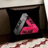 PPalace SSkateboardsS Cushion Cover Reversible Soft Durable Pillow Cover Home  Car MultiScene Use for Daily Comfort