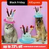 Pet Cosplaying Cute Pet Birthday Hat Plush Colorful Dog Party Hat Soft Adjustable Birthday Cake Hat Photography