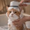 Silicone Soft Teeth Pet Hair Brush Remover Multi-functional Shampoo Dispenser Brush  Cat Grooming