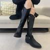 Coarse heel boots women's spring and summer new pointed toe versatile knee boots with skirt knight boots